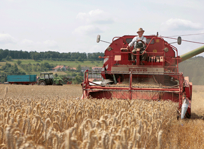 ein Getreideernte Gerät, mit einem Bauer auf dem Sitz und am Steuer. Er ist gerade dabei Getreide zu ernten.