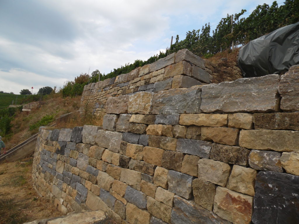 Eine sorgfältig gestapelte Steinmauer in einem Weinberg, mit Reben, die oben auf dem Hang wachsen.