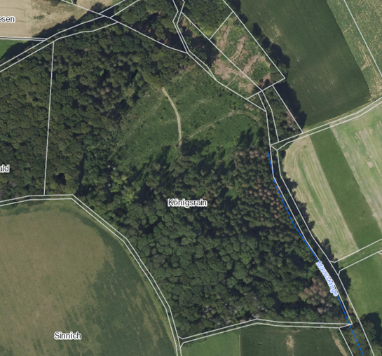 Wald Darstellung Luftbild